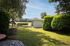 Tuin 6.jpg